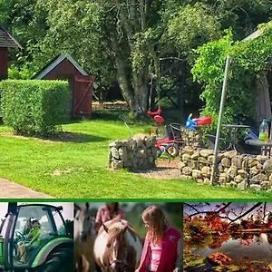 Stutteri Skandihest , Billund Dänemark